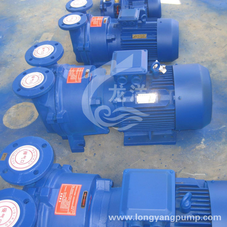 2BV(SKA)系列水环式真空泵产品大图